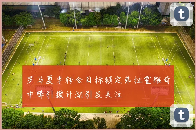 罗马夏季转会目标锁定弗拉霍维奇中锋引援计划引发关注